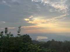 -东莞市大岭山森林公园