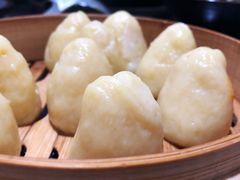 -马村鱼头