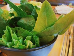 青菜合盘-郭记烤肉创始店(民丰大街店)