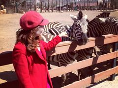 -大连森林动物园