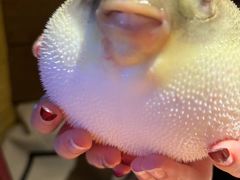 -永安鱼庄·镇江菜(丁卯店)