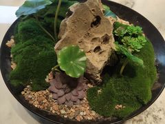 -老绍兴养和饭店(向阳不夜城店)
