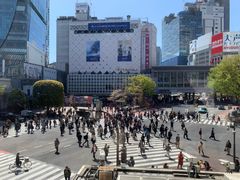 -涩谷区