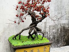 -广富林宰相府酒店·水云间