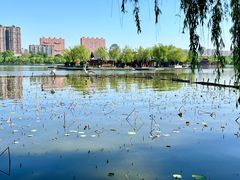 -济南大明湖景区
