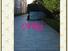 -上海棕榈滩海景酒店