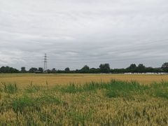 -汉长安城未央宫国家考古遗址公园