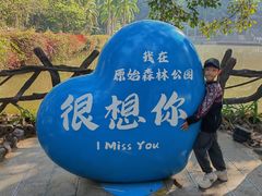 -西双版纳原始森林公园