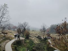 -塔川景区