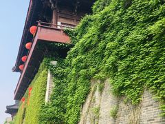 -东台西溪天仙缘景区