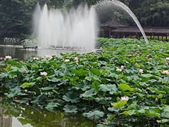 -龙头寺公园