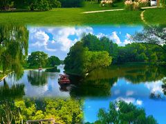 -上海共青森林公园