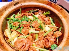 -煲煲好(朝阳门店)
