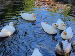 -HERRE·FARM 赫尔露营农场·团建聚会包场