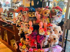 -新华书店(龙头路店)
