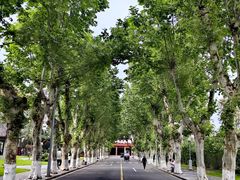 -四川大学(望江校区)