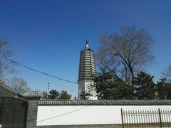 景点-舍利塔滩地公园-无垢净光舍利塔