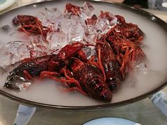 -怪怪龙虾·澳洲蓝龙王·深夜食堂(惊驾路店)