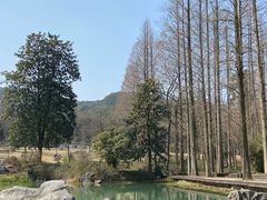 -杭州植物园
