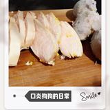 人不如狗之铲屎官的日常