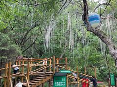 -吉林市朱雀山国家森林公园