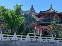 -龙口南山旅游景区