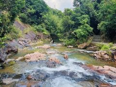 -广州白江湖森林公园