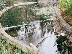 -成都市活水公园