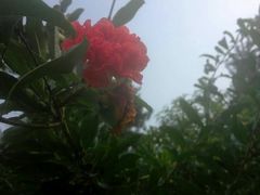 -防灾科技学院(南校区)