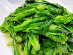 -桃花源中餐厅(金茂豪华精选酒店)