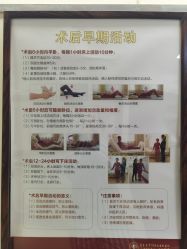 -复旦大学附属妇产科医院(杨浦院区)
