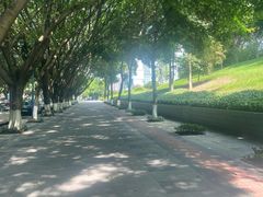 -西南政法大学(渝北校区)