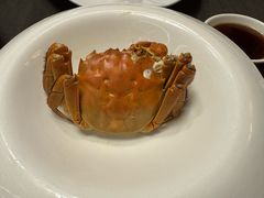 -蟹榭·本帮江浙菜·蟹宴(大宁久光商场店)