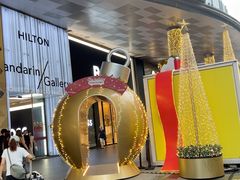 -新加坡乌节希尔顿酒店 (SG Clean)