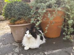-自由生长植物工作室(深港花卉中心店)