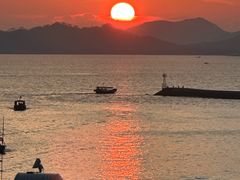-广东惠东海龟国家级自然保护区