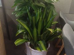 -荷花亭·湖北融合菜(十堰武商MALL店)