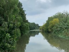 -溱湖国家湿地公园