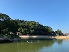 -广州市帽峰山景区
