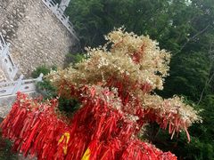 -九鼎铁刹山风景区