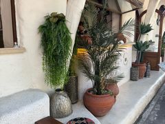 -Sirena海妖日咖夜酒