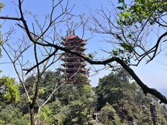-缙云山景区