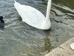 -海德公园