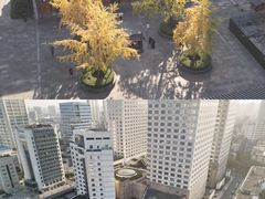 -宁波东港喜来登酒店