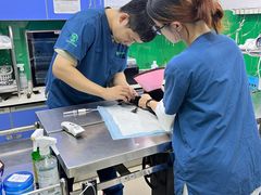 -瑞派动物医院·猫专科·至诚(江南中分院)