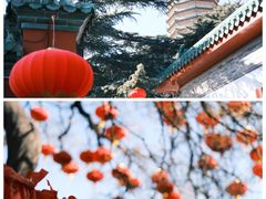 -八大处公园