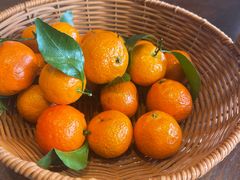 -唐山宴大唐州府精品中餐