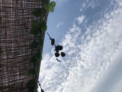 -北京张裕爱斐堡酒庄