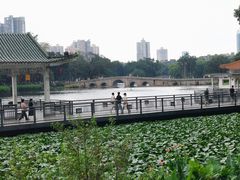 -荔湾湖公园