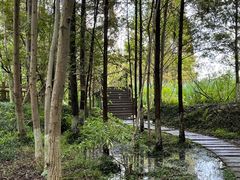 -桤木河湿地公园